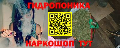 стаф Ярославль