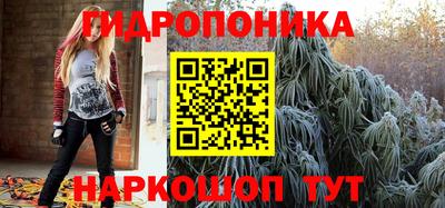 стаф Ярославль