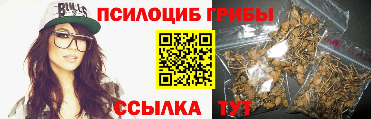 Псилоцибиновые грибы Psilocybine cubensis  Галлюциногенные грибы прущие грибы  Вход с VPN  Южно-Сахалинск 